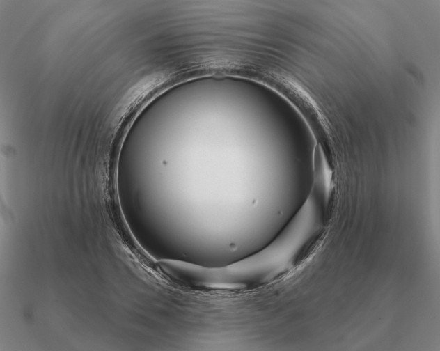 X0000090930930200708061600