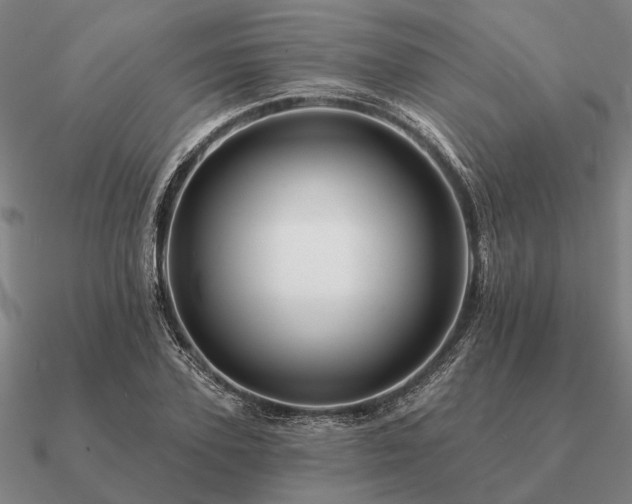 X0000090930931200708061600