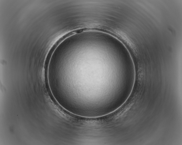 X0000090930932200708061600