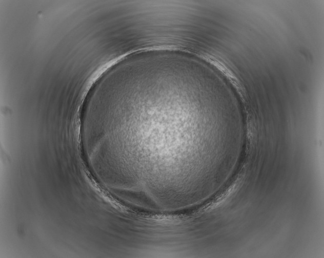 X0000090930933200708061600