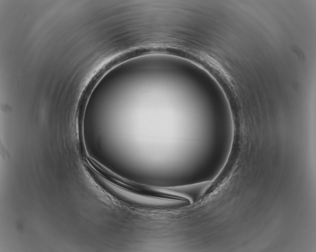 X0000090930934200708061600