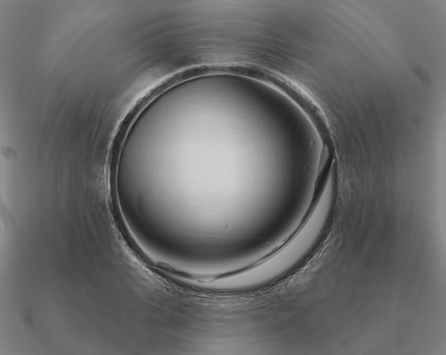 X0000090930935200708061600