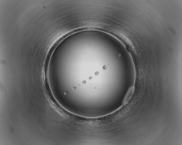 X0000090930936200708061600