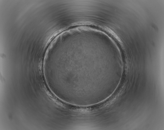 X0000090930937200708061600