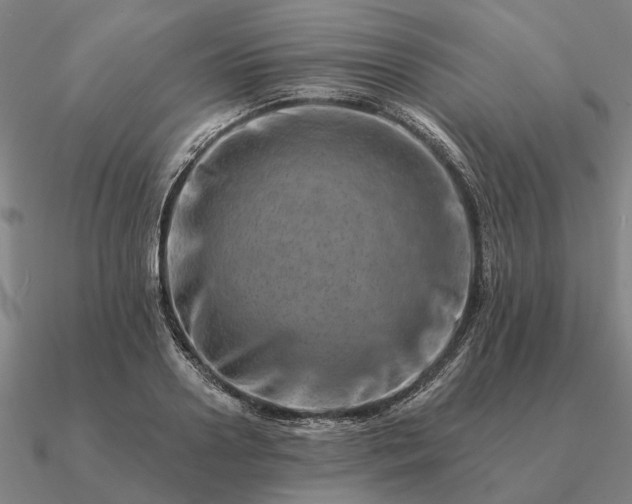 X0000090930938200708061600