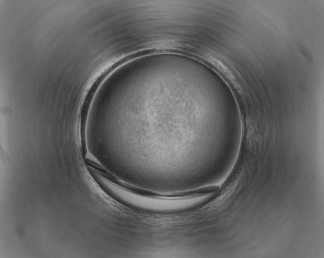 X0000090930939200708061600