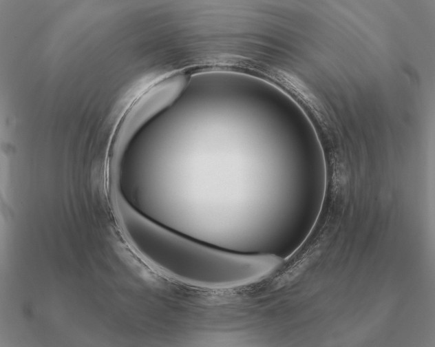 X0000090930940200708061600