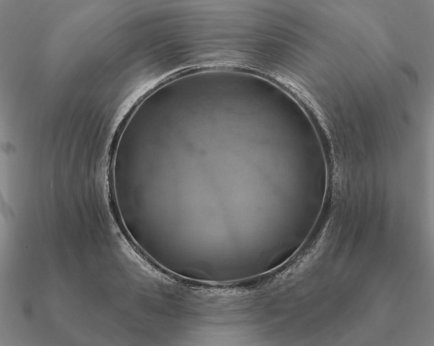 X0000090930941200708061600