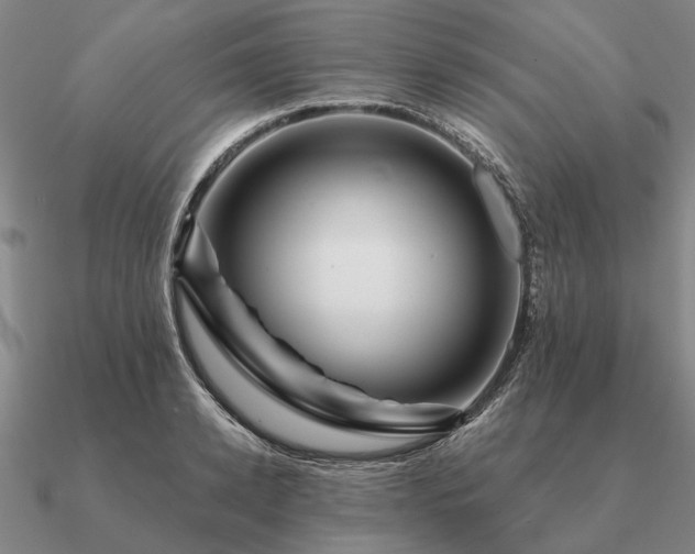 X0000090930942200708061600