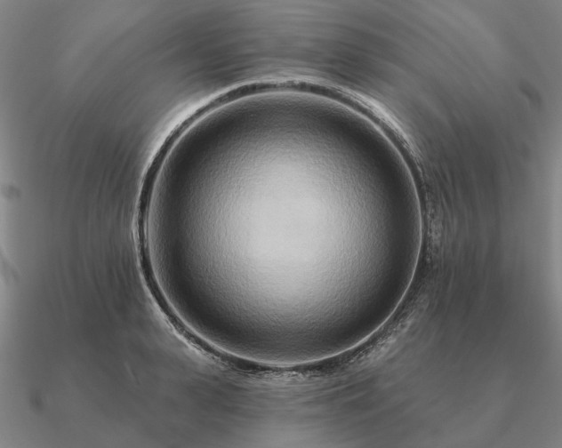 X0000090930943200708061600