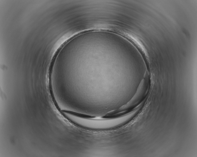 X0000090930944200708061600