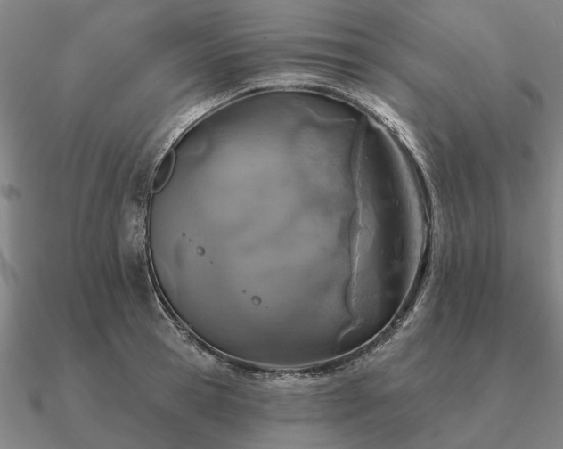 X0000090930945200708061600