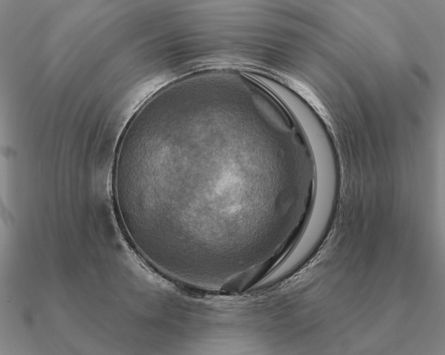 X0000090930946200708061600