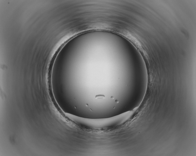 X0000090930947200708061600