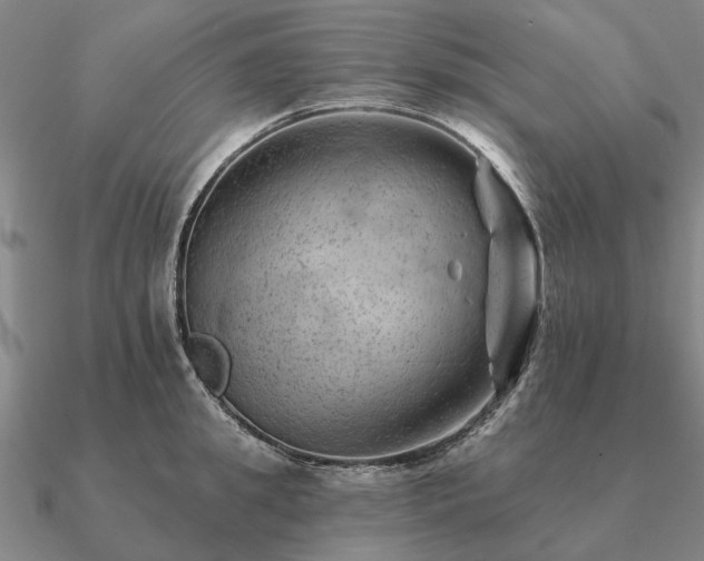 X0000090930949200708061600