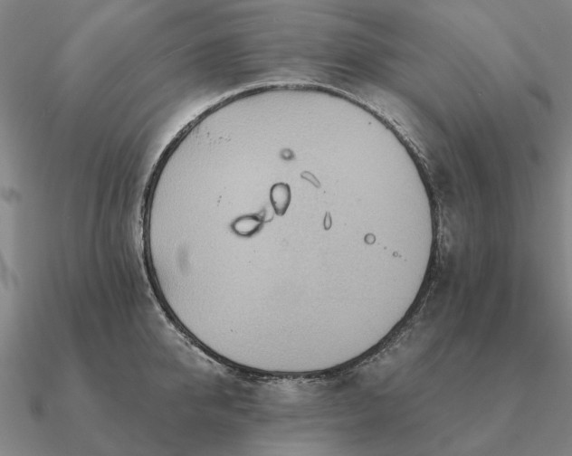 X0000090930950200708061600