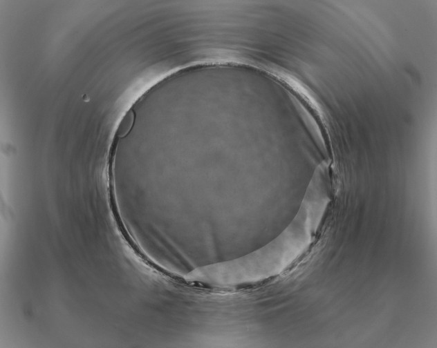 X0000090930951200708061600