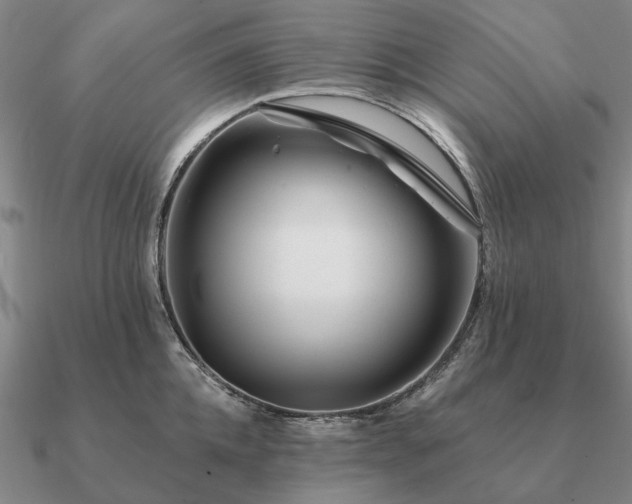 X0000090930952200708061600