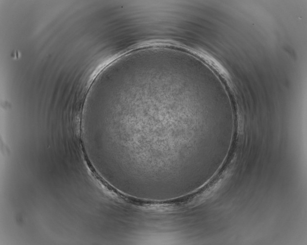 X0000090930953200708061600