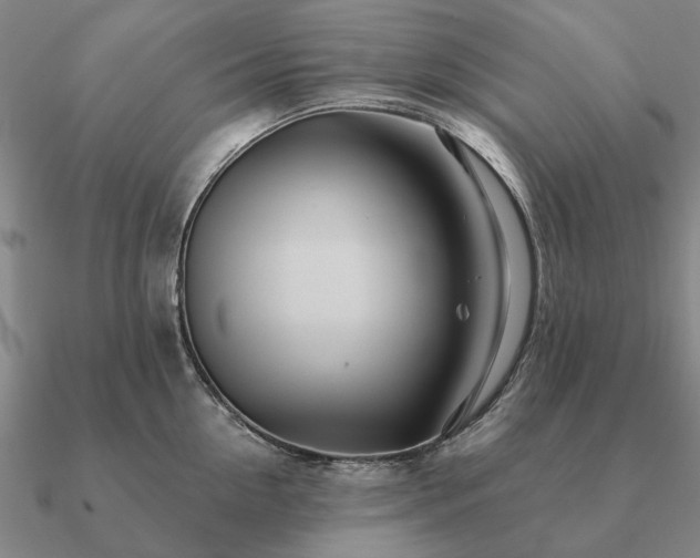 X0000090930954200708061600