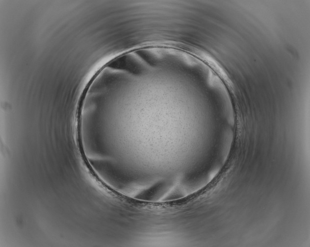 X0000090930955200708061600