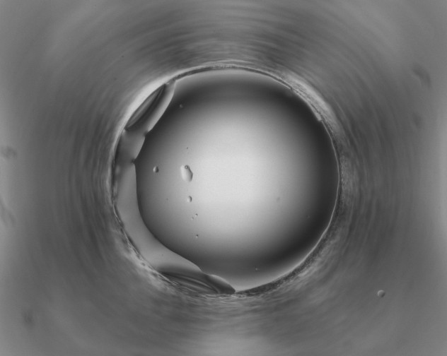 X0000090930956200708061600