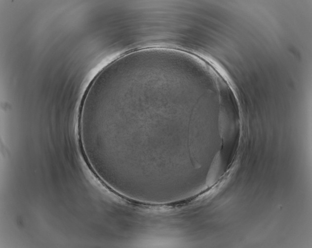 X0000090930957200708061600