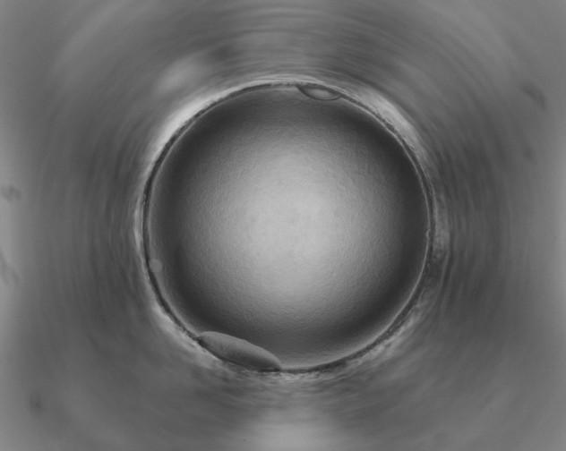 X0000090930958200708061600