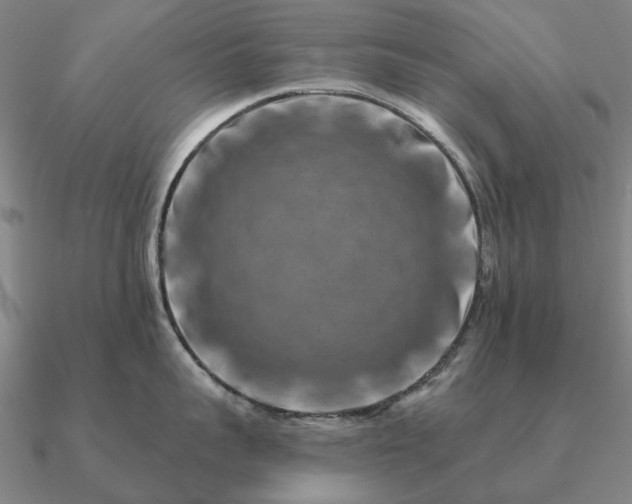 X0000090930959200708061600