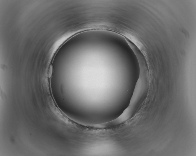 X0000090930960200708061600