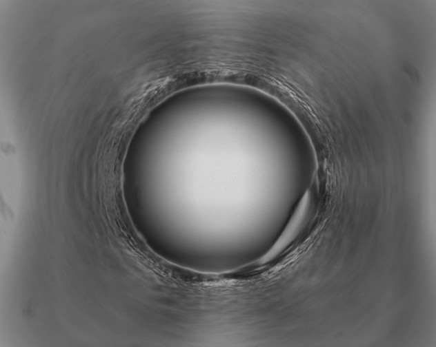 X0000090930961200708061600