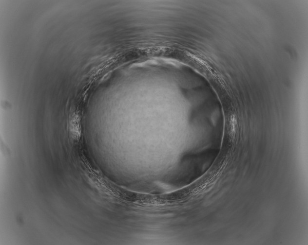 X0000090930962200708061600