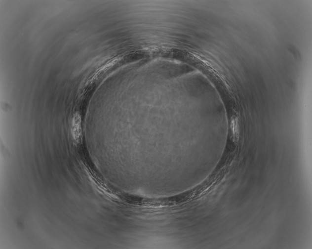 X0000090930963200708061600