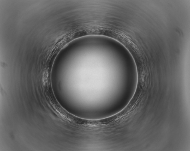 X0000090930964200708061600