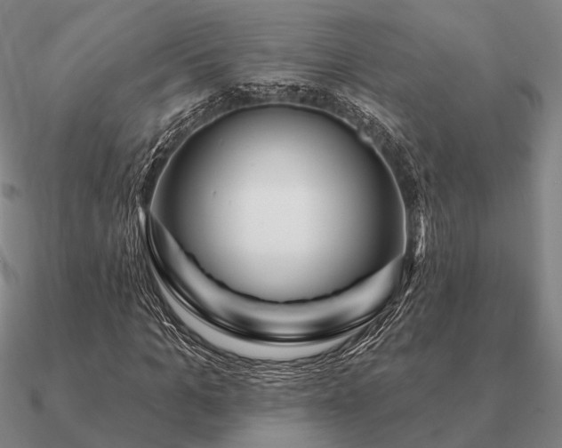 X0000090930965200708061600