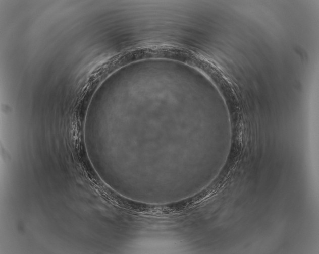 X0000090930966200708061600