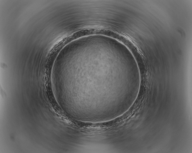 X0000090930967200708061600