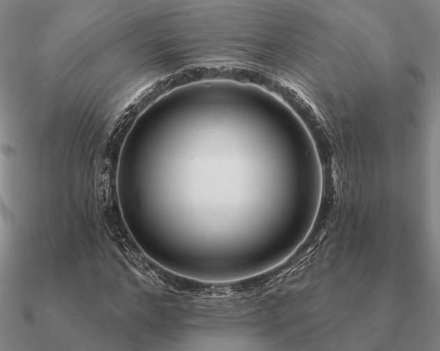 X0000090930968200708061600