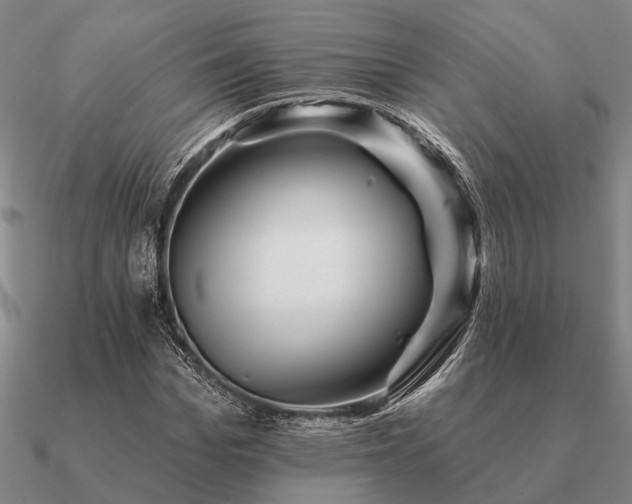 X0000090930969200708061600