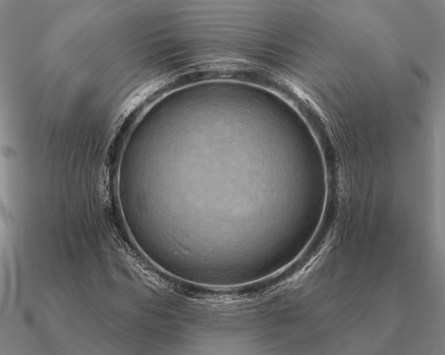 X0000090930970200708061600