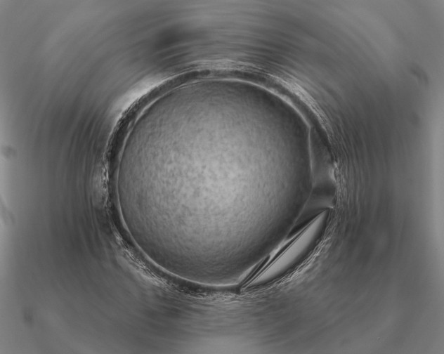 X0000090930971200708061600