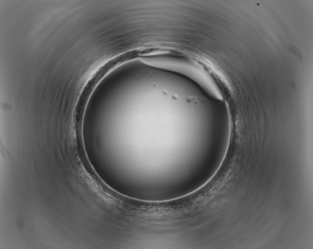 X0000090930972200708061600