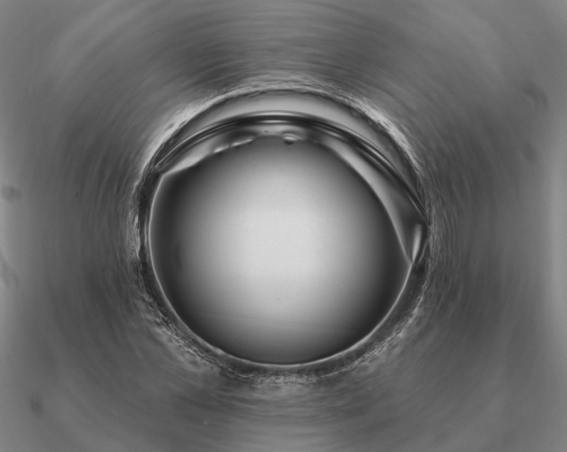 X0000090930973200708061600