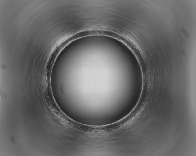 X0000090930974200708061600