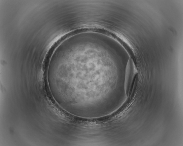 X0000090930975200708061600