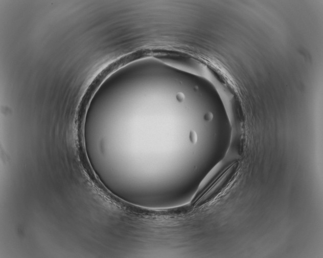 X0000090930976200708061600