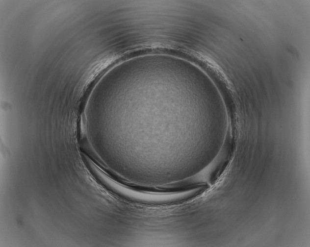 X0000090930977200708061600