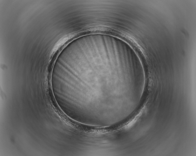 X0000090930978200708061600