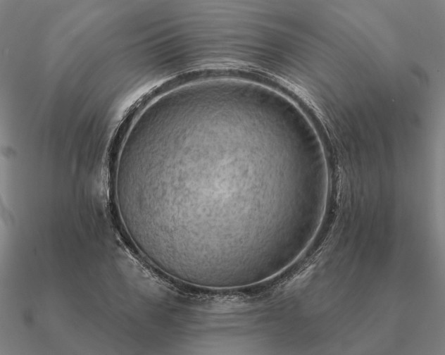 X0000090930979200708061600