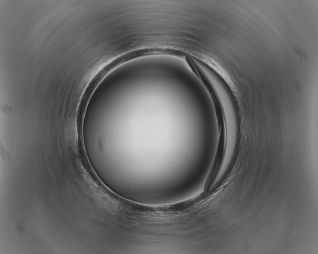 X0000090930980200708061600